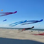 100 % Vue Mer, A Berck-sur-mer 아파트 Berck