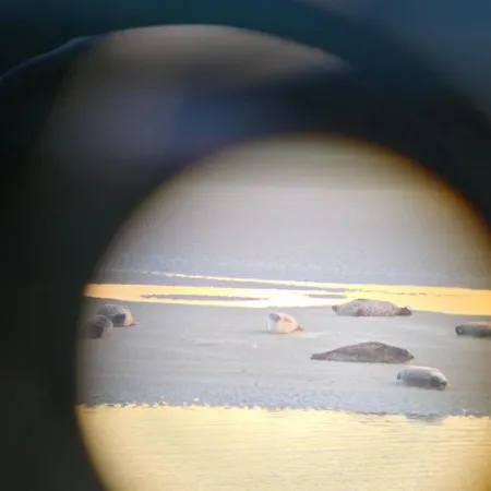 Апартаменты 100 % Vue Mer, A Berck-sur-mer